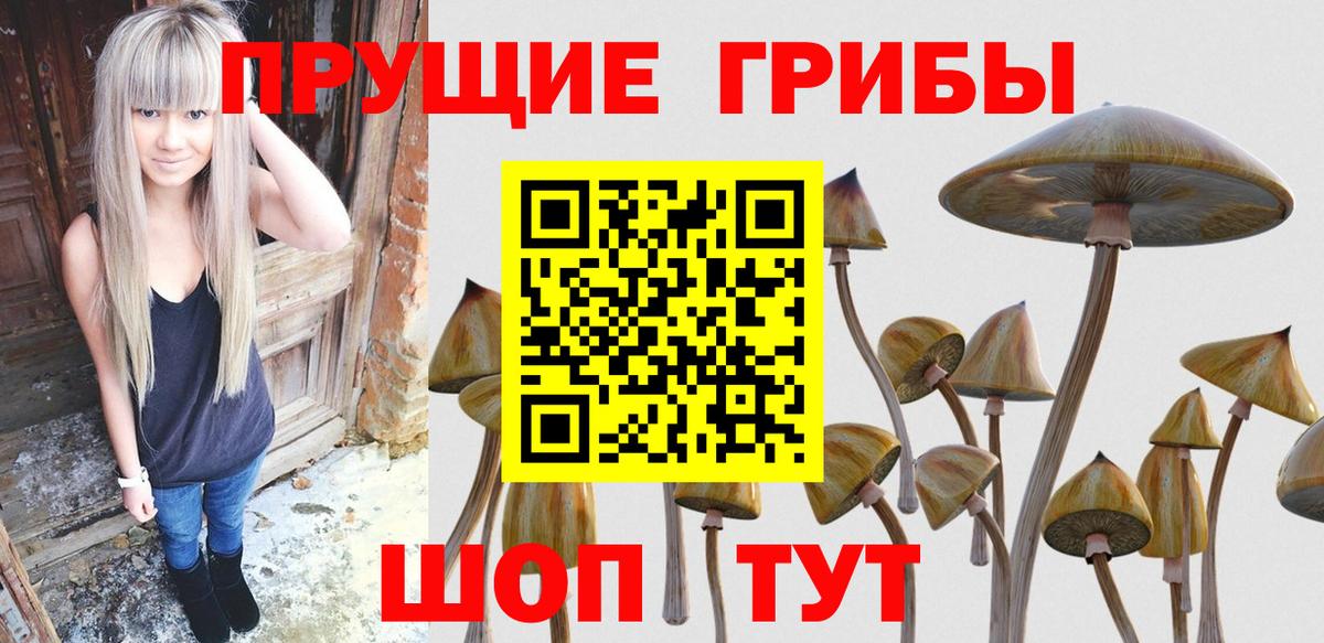 Алатырь  Псилоцибиновые грибы мицелий  Вход с VPN 