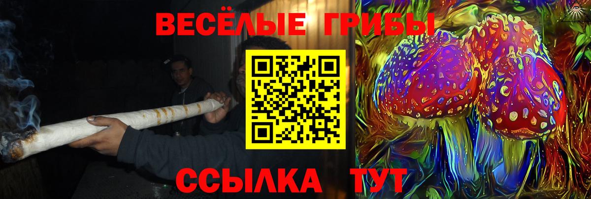Псилоцибиновые грибы Magic Shrooms Алатырь